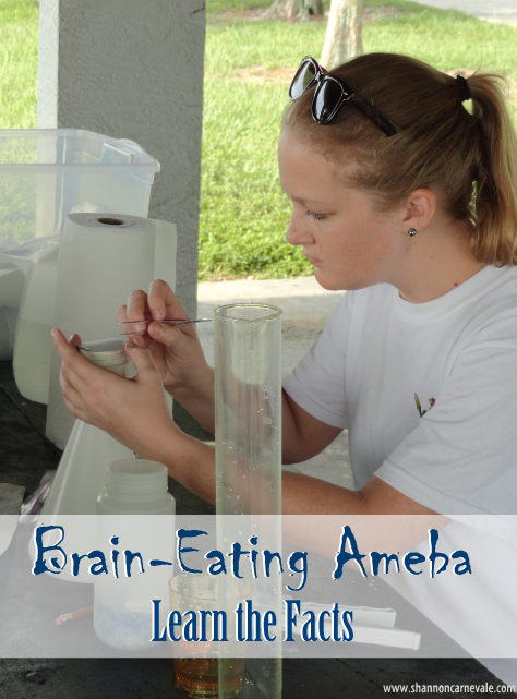 Brain-Eating Ameba, also referred to as Amoeba (British English), terrifies parents up and down the Florida peninsula. Learn the facts in this blog post from Shannon Carnevale.